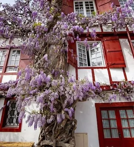 Loft Au Centre Ville, Calme, 200m De La