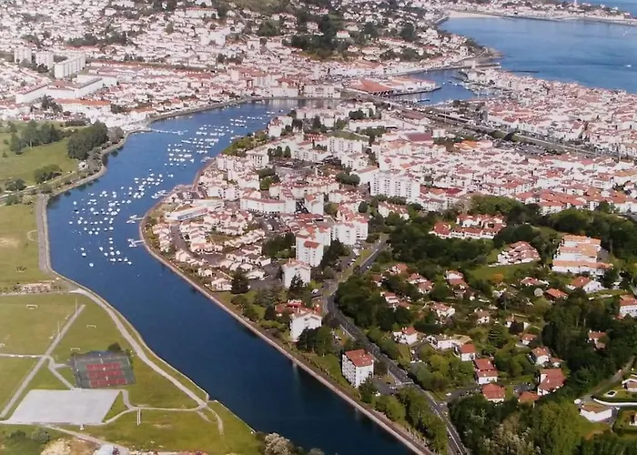 Appartement Loft Au Centre Ville, Calme, 200m De La *